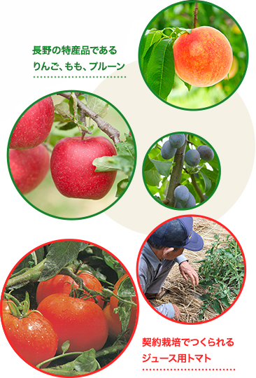 長野の特産品であるりんご、もも、プルーン／契約栽培でつくられるジュース用トマト